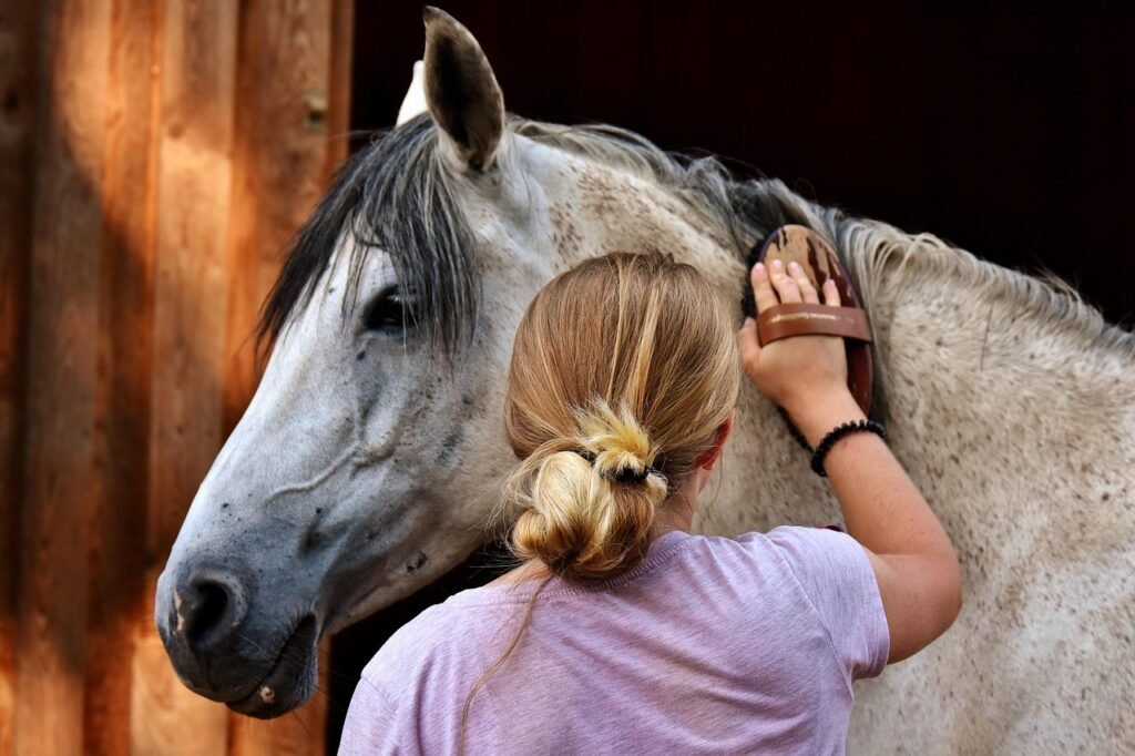 servicios de rehabilitación equina