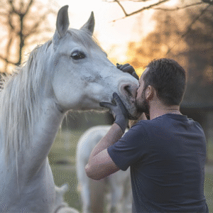 Recuperación para Caballos con Carácter Dominante